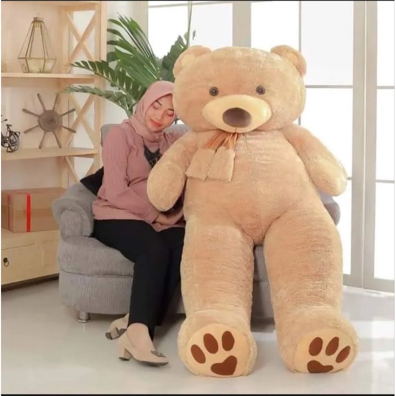 Boneka Teddy bear Jumbo Beruang Real Tinggi 2 meter SNIi