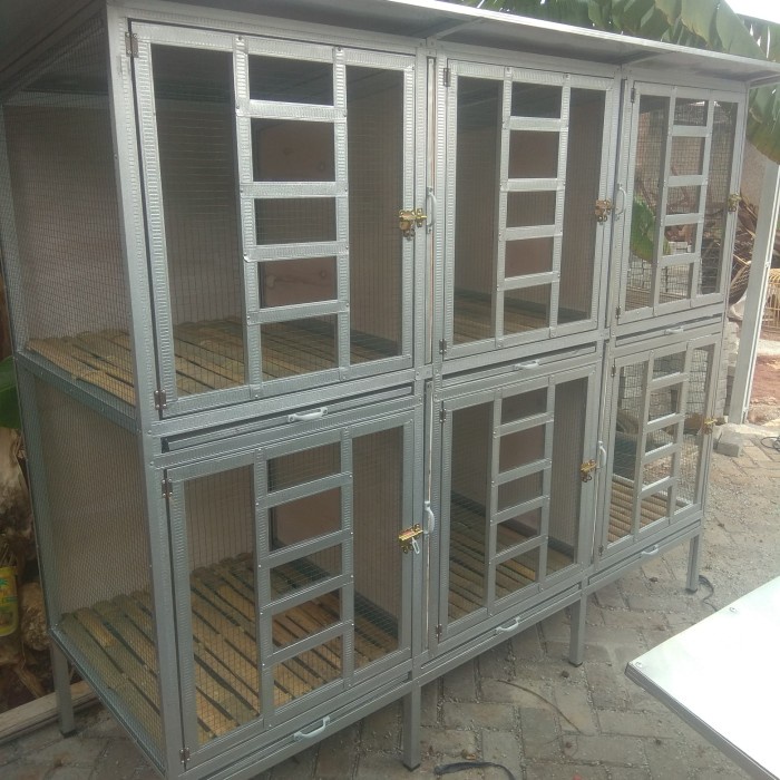 ] kandang ayam Bangkok ayam hias