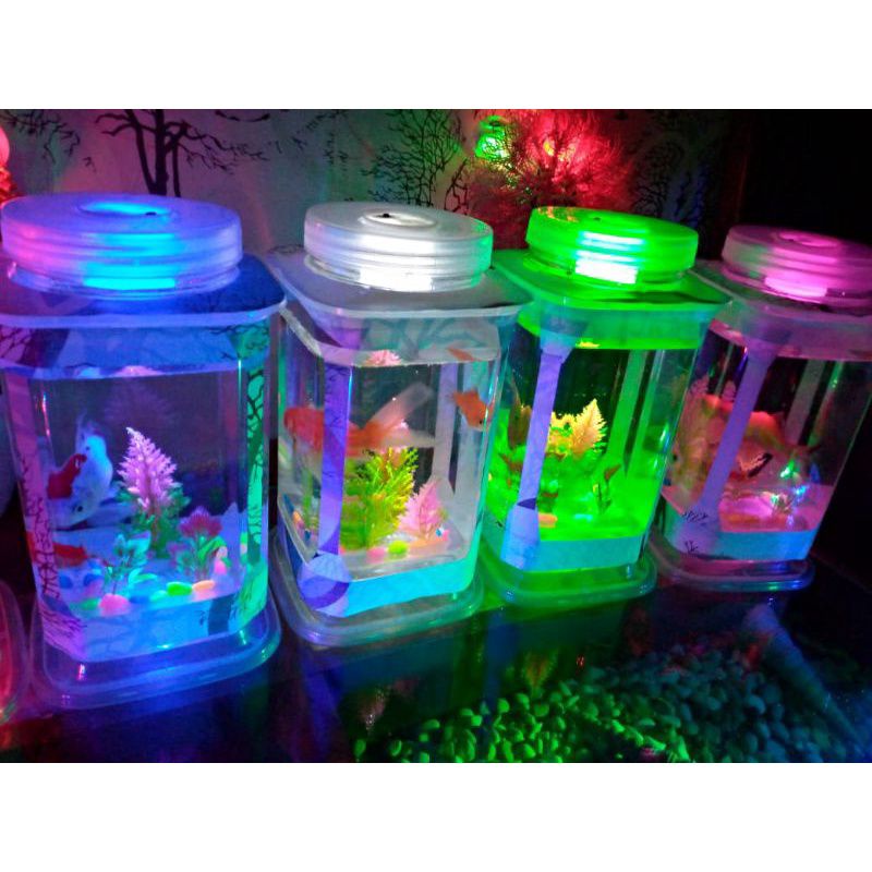 Akuarium Ikan Hias Cupang Mini Bentuk Persegi Hiasan kamar Tidur  Warna Lampu Lucu Muarah