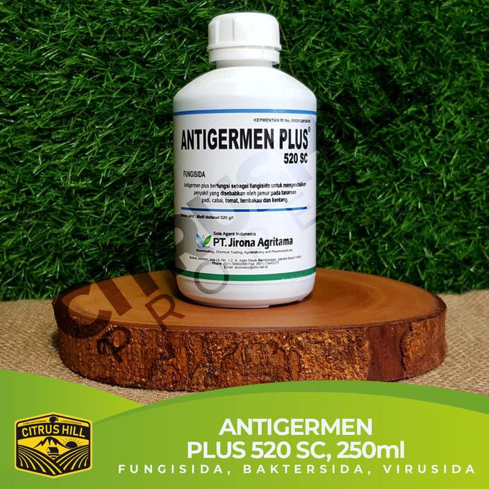 ANTIGERMEN PLUS 520 SC Fungisida Bakterisida Virusida