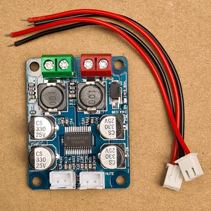Tpa3118D2 Tpa3118 Class D Hifi Subwoofer Digital Power Mono Amplifier