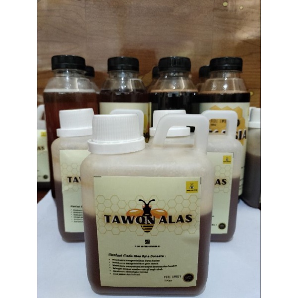 

Madu Murni Tawon Alas