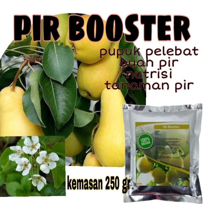 pir booster pupuk organik buah pir pupuk tanaman pir pupuk pelebat buah pir