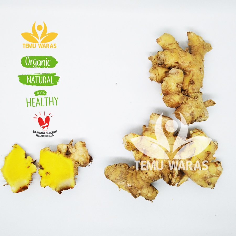 

Bangle 100gr / Bonglai / Bengle / Panglai Segar Organik Asli Gunung