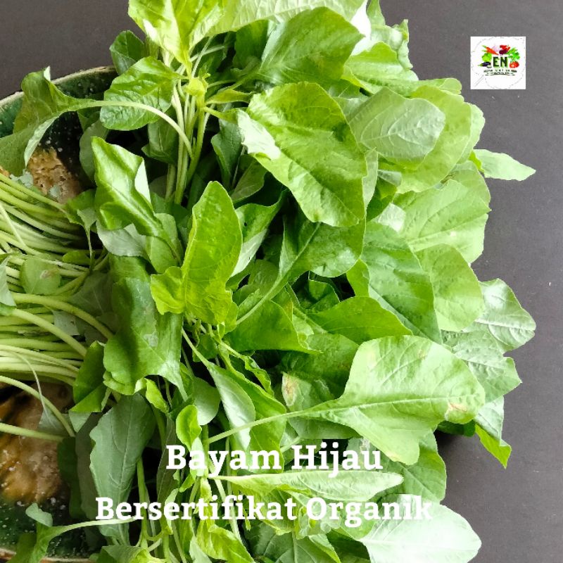 

1pack Sayur Bayam Hijau 100% Sertifikat Vegetable Murah Sehat Healthy Life Grosir Supermarket