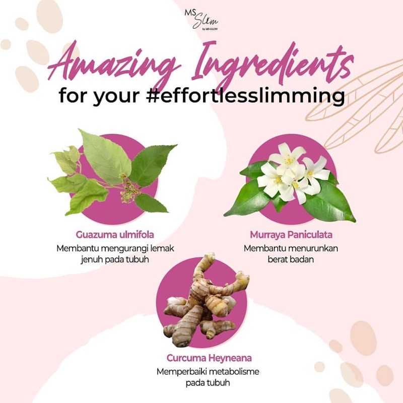 MS SLIM CAPSULE SLIMMING