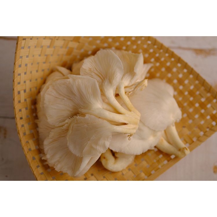 

Jamur Tiram 250 gram