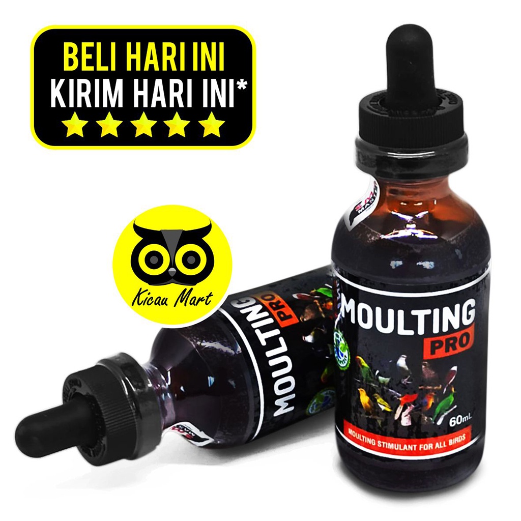 Moulting Pro Smart Mastering Obat Burung Mabung Ngurak Cabut Rontok Bulu Bermasalah Atasi Suplemen Penumbuh Bulu Burung Murai Lovebird Kacer Kenari Pleci Dll