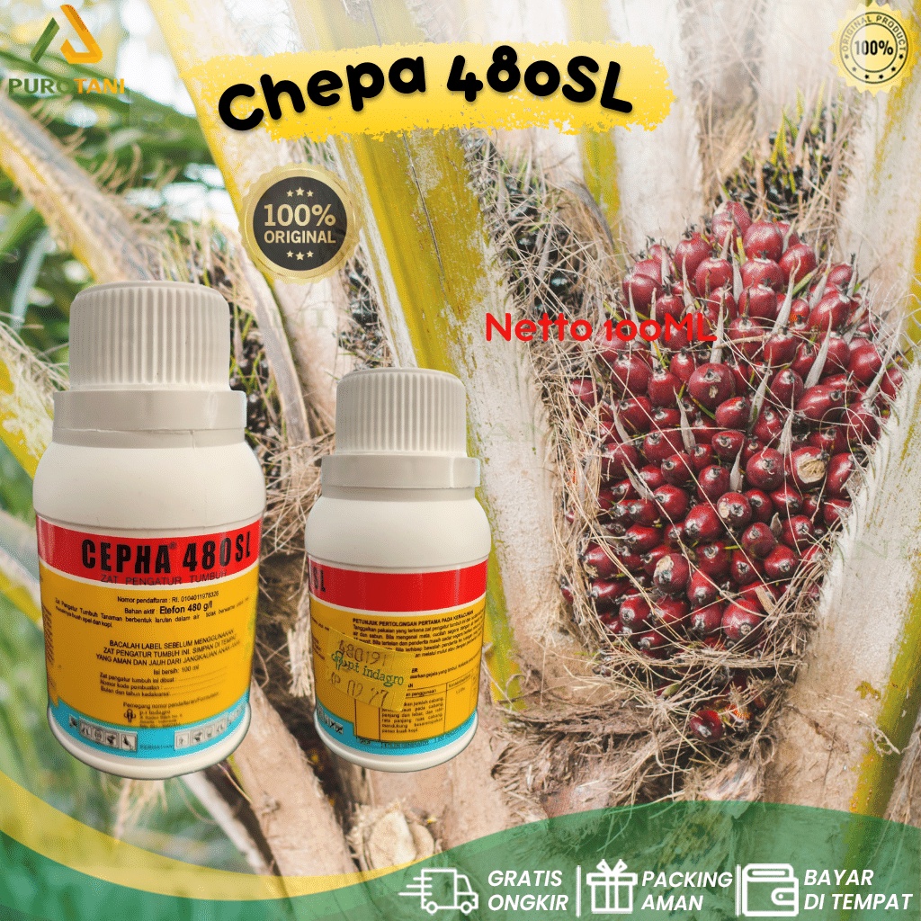 Zat Pengatur Tumbuh Tanaman Cepha 480 SL 100 ml etefon 480 gl