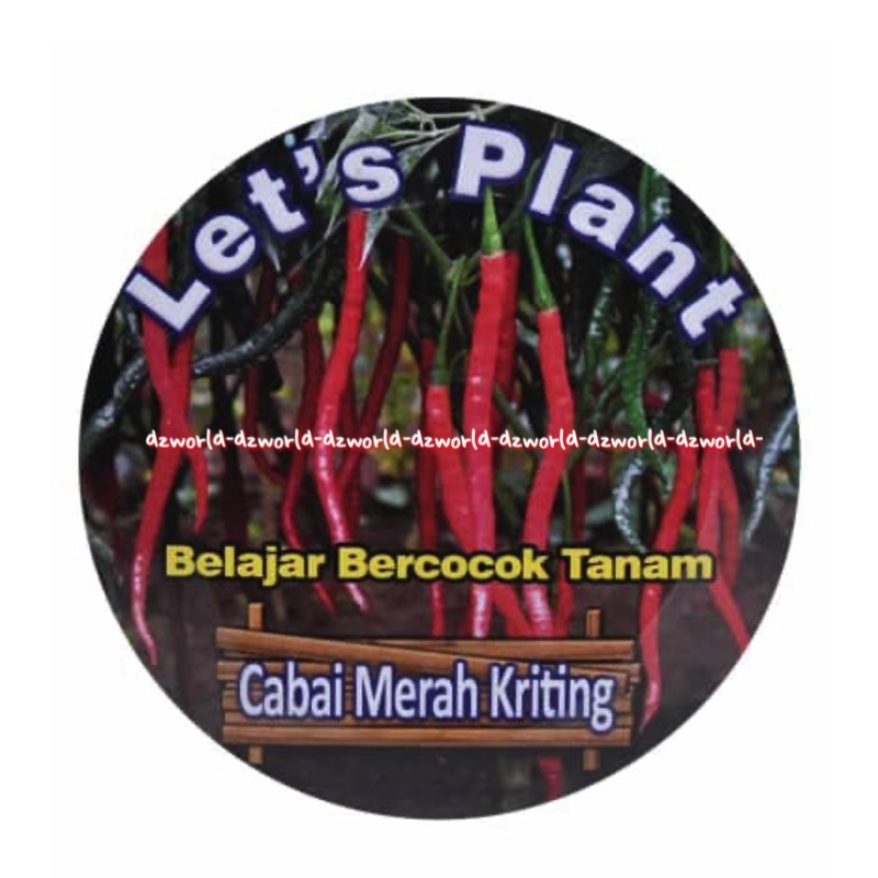 Let's Plant Sun Flower Seledri Cabai Merah Keriting Bayam Merah Belajar Bercocok Tanam Tanaman Benih Di Pot Sunflower Lets Plants