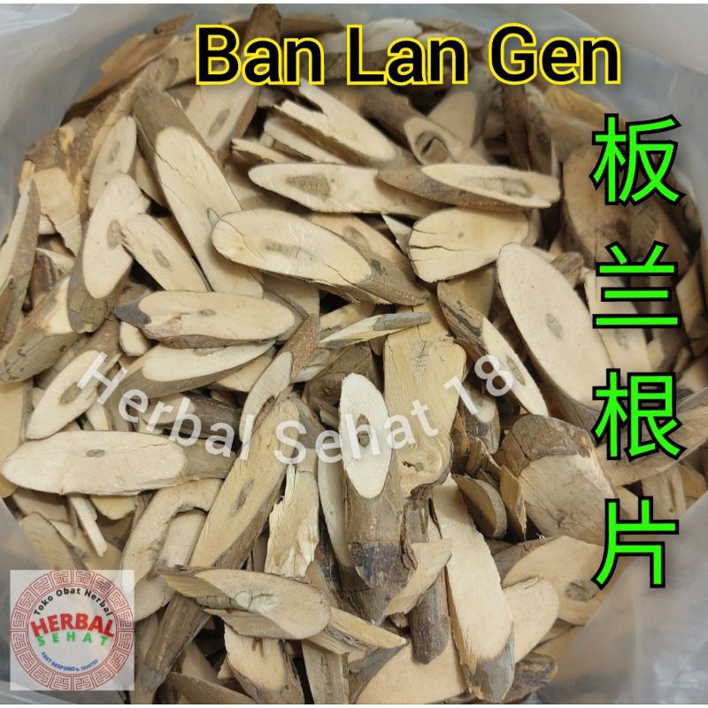 

600 gram Ban Lan Gen Pan Lan Gen Banlangen Radang Panas Dalam