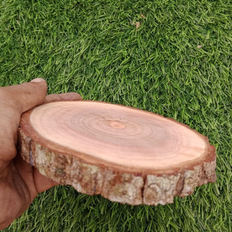 Potongan kayu/Slice Wood//Talenan kayu diameter 15-17cm