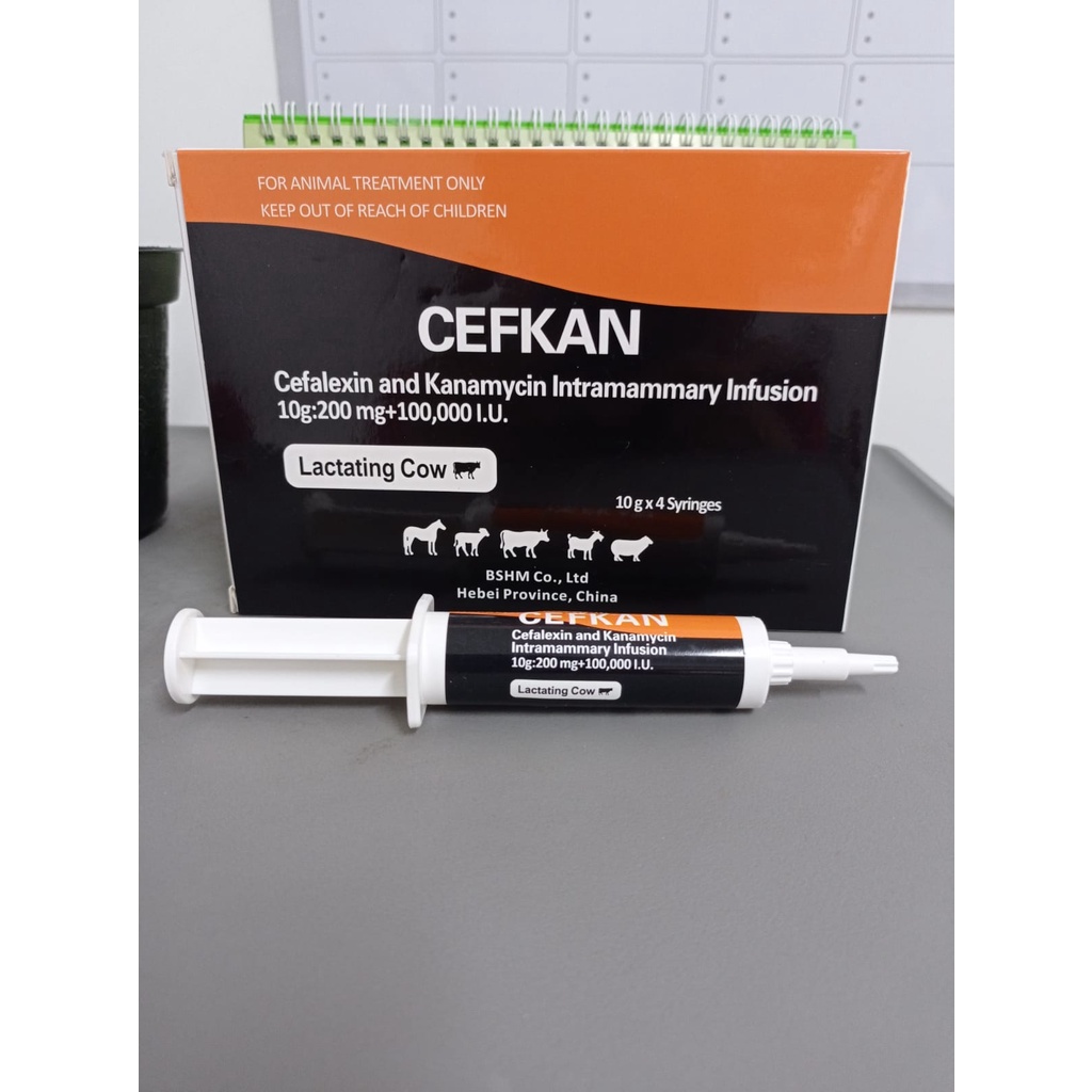 CEFKAN (MASTITIS)