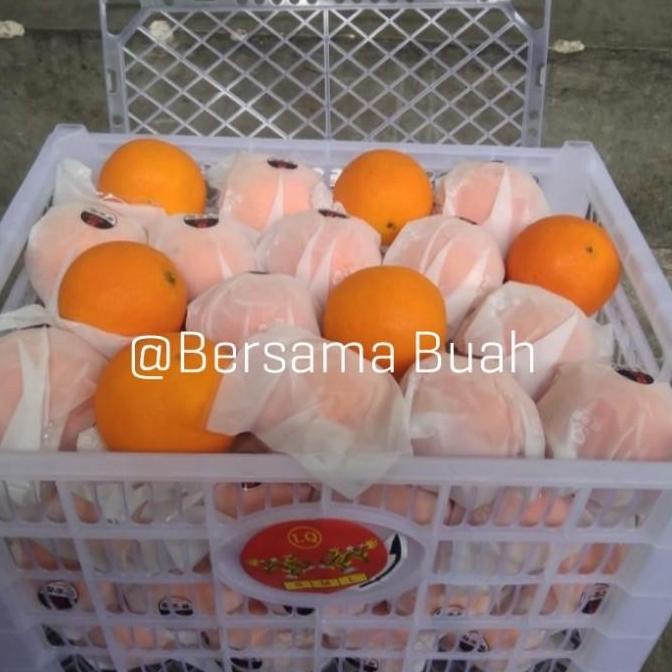 

Terjangkau Buah Jeruk Sunkist Navel Fresh Import Per Keranjang Heiyyaluv