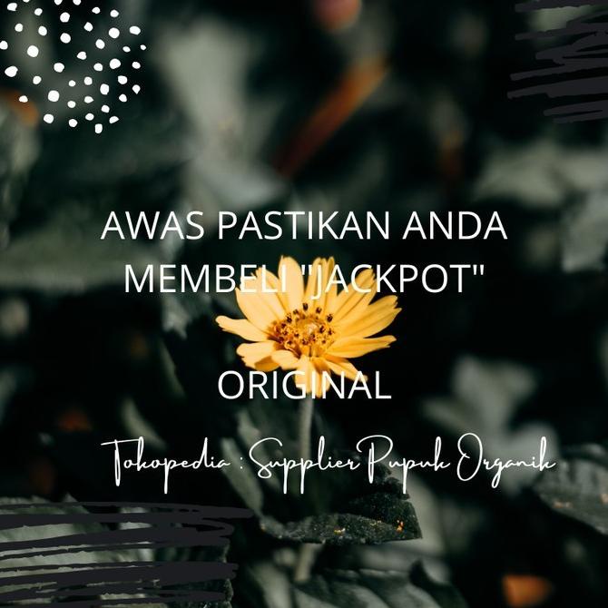 Vitamin Burung Murai Terbaik, Vitamin Burung Murai Batu Terbaik,3