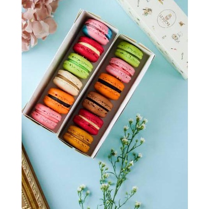 

Termurah [FG2] Reguler Macaron