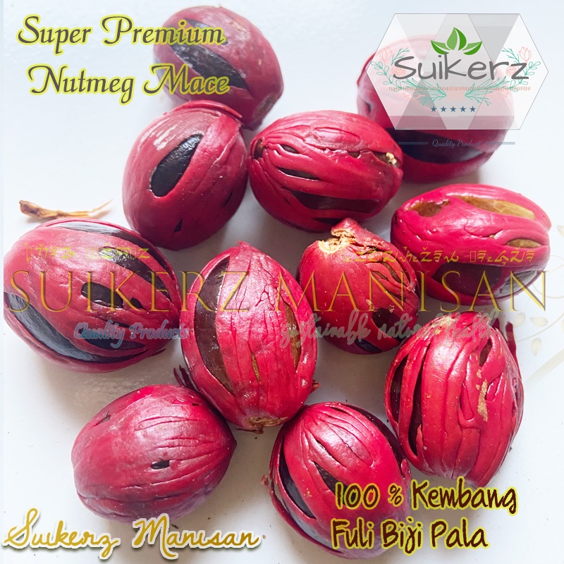 

biji pala tua super Premium kering 100% asli Murni rempah 100gr obat herbal bumbu dapur masak tradisional 100g original kualitas super Premium