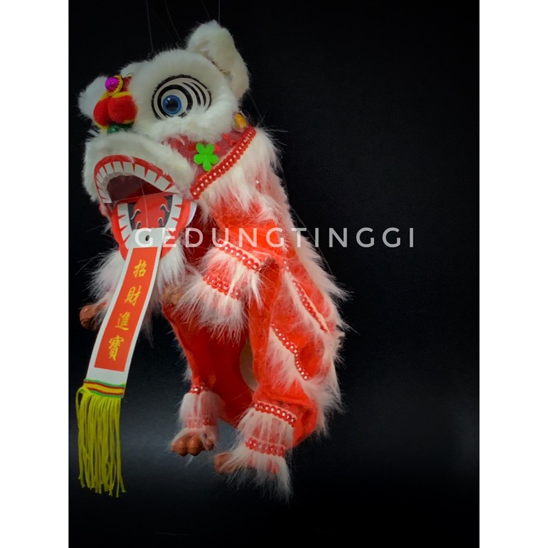 mainan imlek barongsai mini pake tali P 32cm x L 13cm x T 15cm slide untuk lihat video demonya