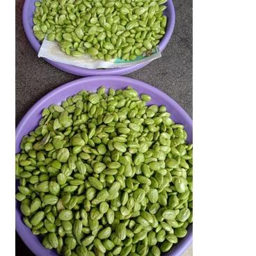 

Promo✅-PROMO Pete Kupas TIDAK COD