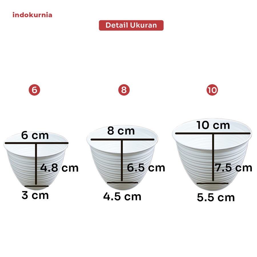 IK - POT TAWON MINI TANAMAN HIAS MINI 6CM 8CM 12CM TERMURAH