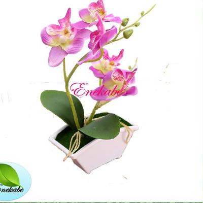 Depan Set Bunga Plastik Anggrek Sedang Dengan Pot Melamin Putih