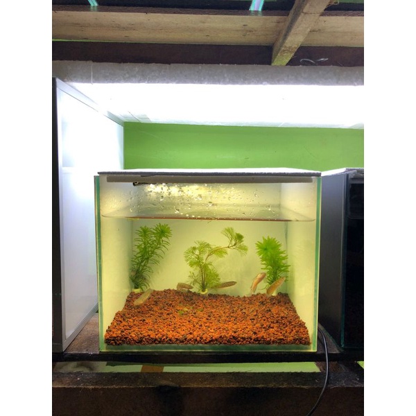 Jual Aquarium full set murah sekota Pontianak aquarium hardscape