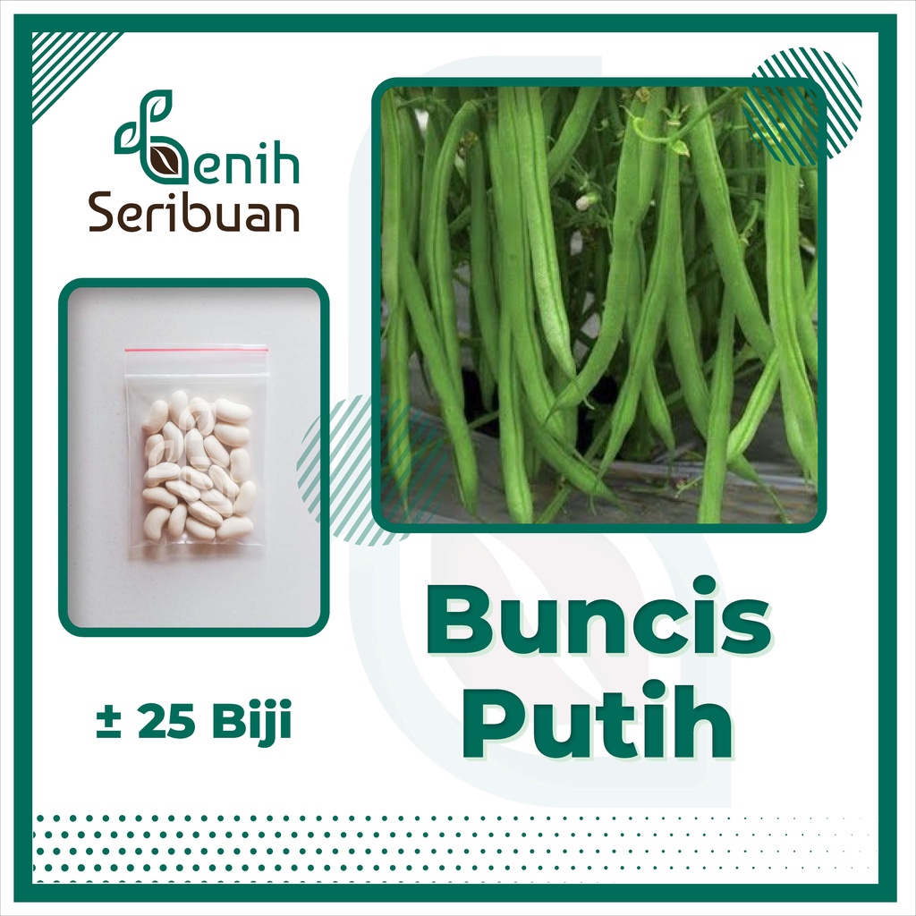 Benih Seribuan - 25 Bibit Sayuran Buncis Putih Unggul