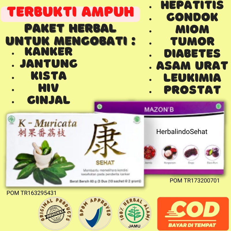 Obat Herbal Terapi Infeksi Paru Paru Kronis - TBC Asma Ispa Sinusitis Mazon B & K Muricata