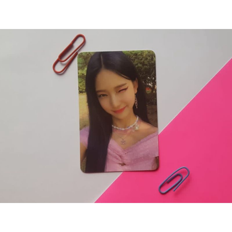 isa wink bundle (read desc)