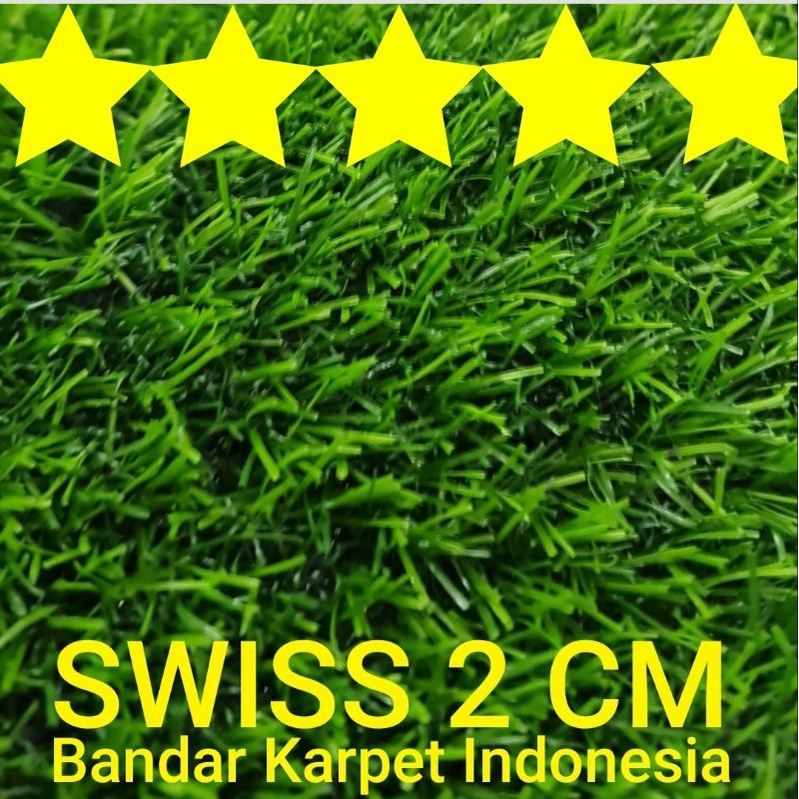 RUMPUT SINTETIS PREMIUM SWISS 2 CM TERMURAH(harga pabrik)