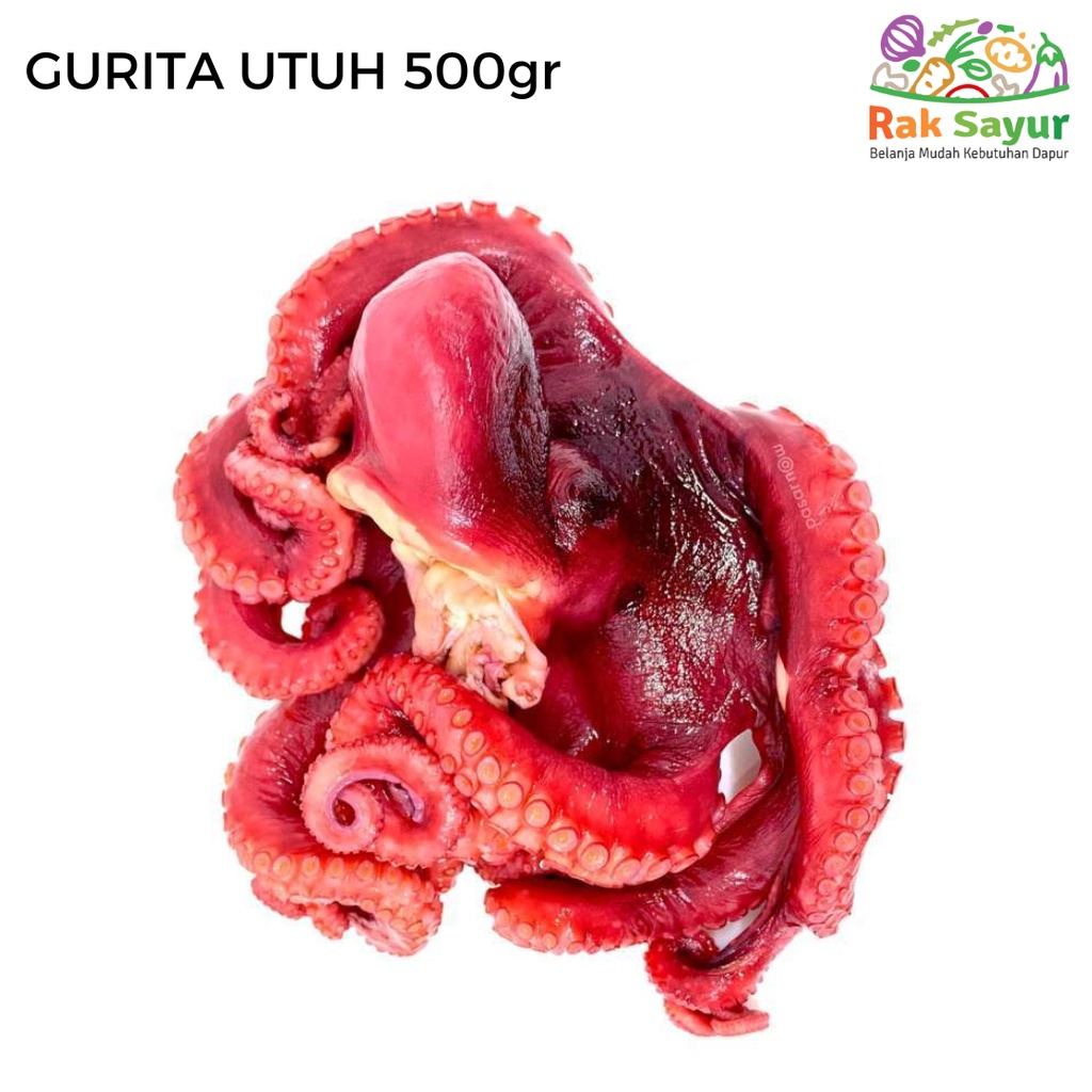 

Gurita Utuh 500gr Seafood Frozen Food Rak Sayur Padang Pasar Online Murah Padang