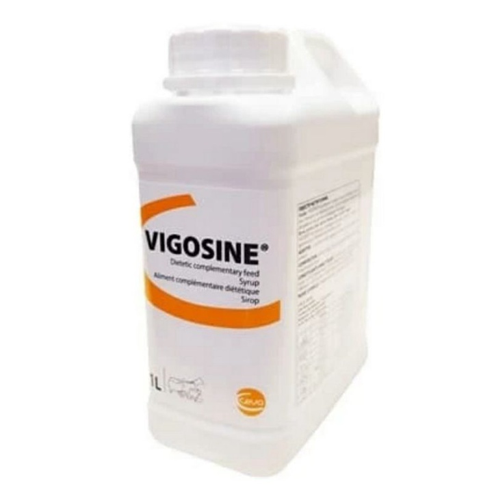 VIGOSINE PENGGANTI BIOGREEN SHS 1 LITER
