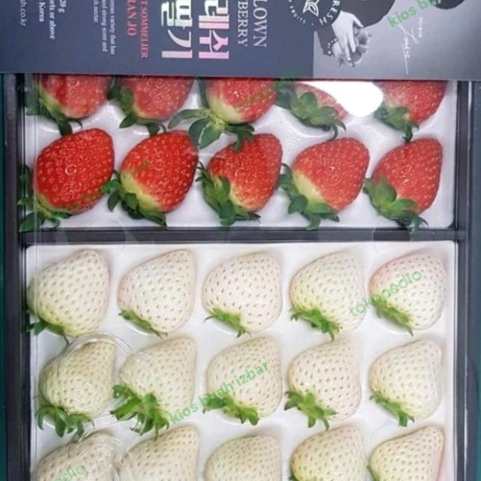 

Buah Strawberry Red White Korea Premium Fresh Import Heiyyaluv