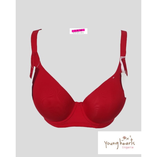 Bra Kawat Busa Sedang Full Cup Pakaian Dalam Wanita Original Young Hearts Y23-19997C Size 32C 36C
