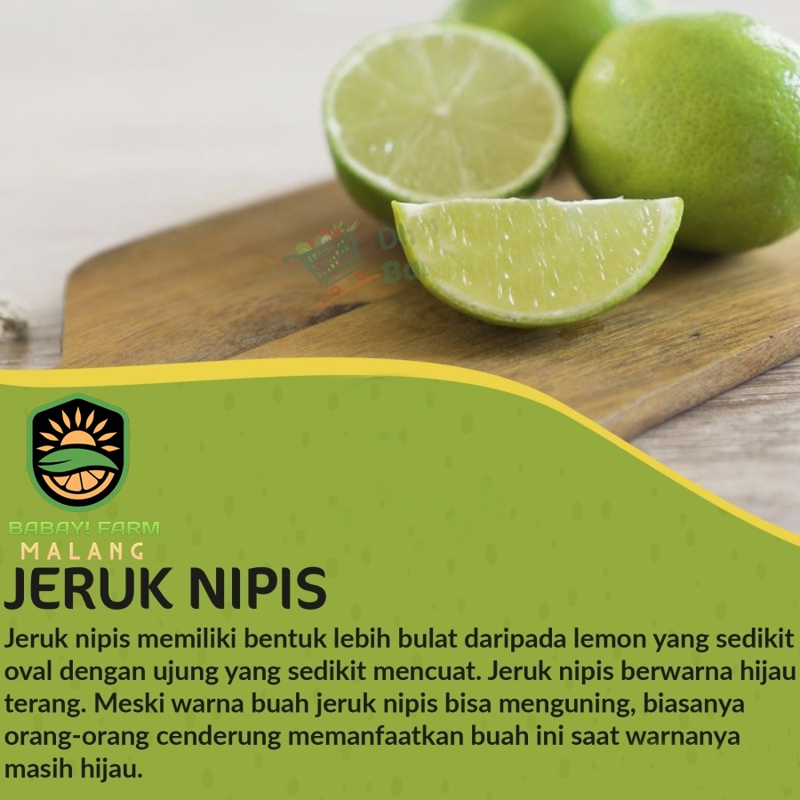 

Jeruk Nipis Pecel Segar / 250 500 gr 1 kg