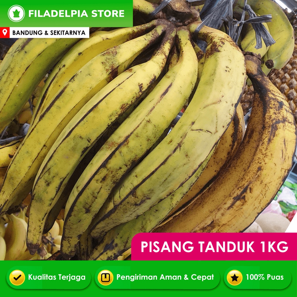 

Pisang Tanduk 500gr / 1kg Buah Segar Bandung