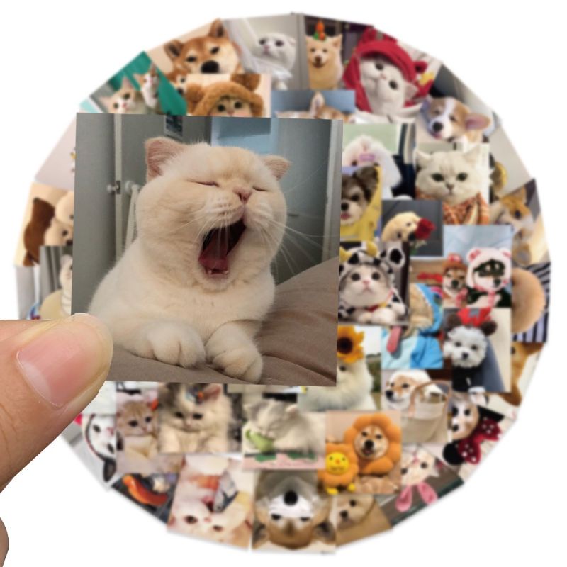 Jual 52pcs Sticker Funny Cat Dog Meme Stiker Anjing Kucing Lucu Laptop