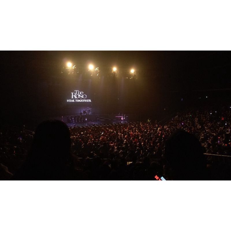 The Rose Heal Together