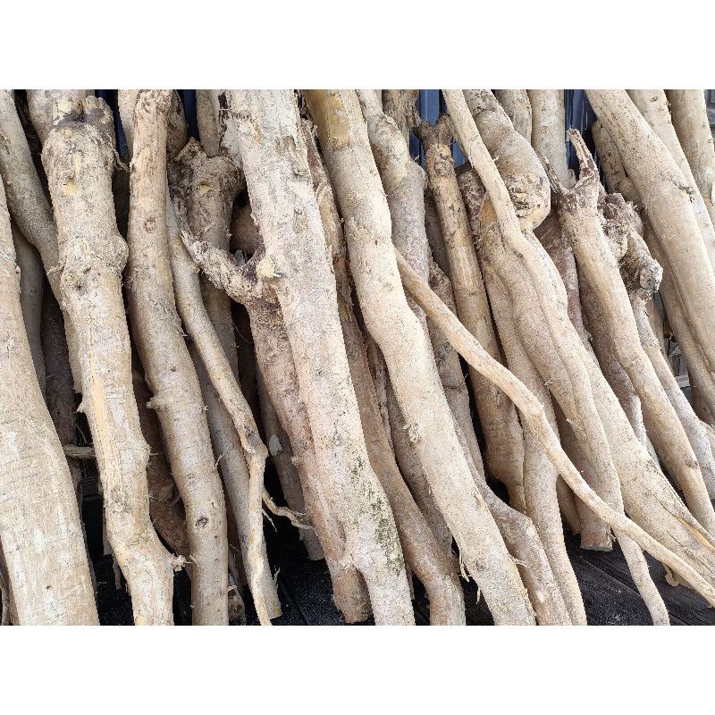 

Asli Pasak Bumi Kalimantan_Tongkat Ali Ginseng 1Kg