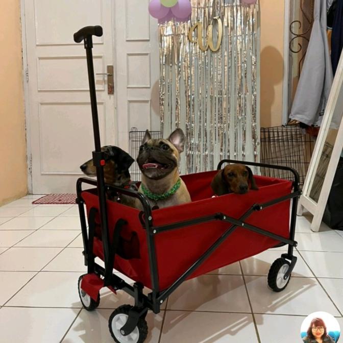 Troli Anjing Kucing Pet Stroller