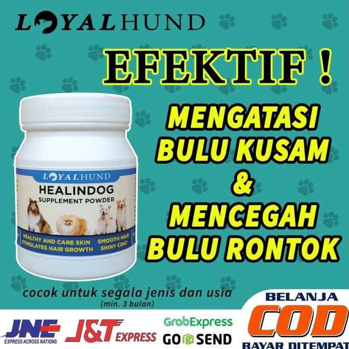 VITAMIN BULU ANJING RONTOK DAN KUSAM OBAT ANJING UNTUK BULU RONTOK DOG