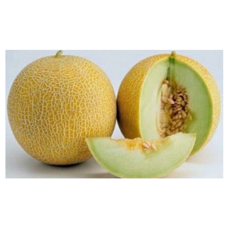 

melon hijau fresh