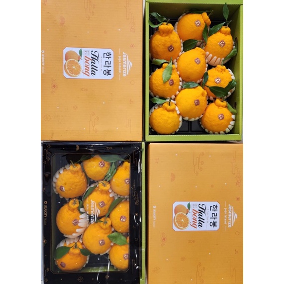 

Jeruk Dekopon Jeju Island Korea 1 Dus (4 Kg) Fresh Import