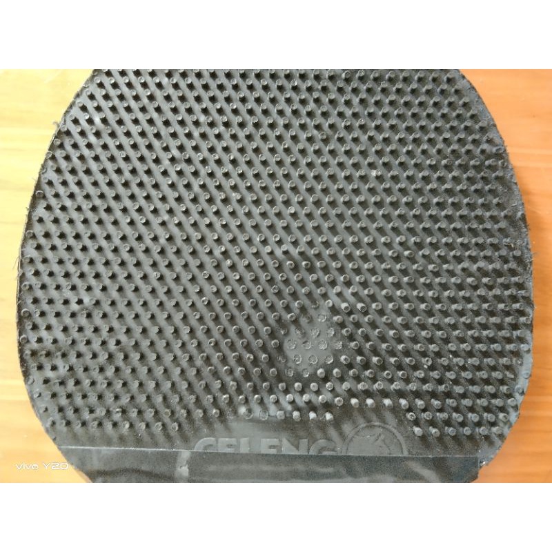 karet bintik Jahanam celeng