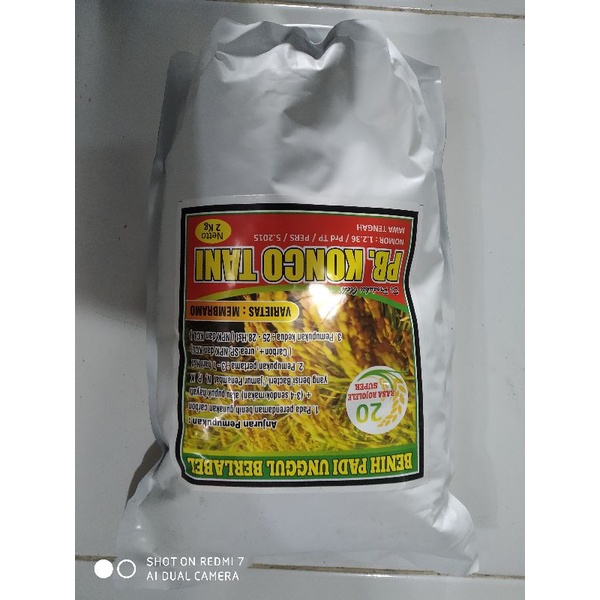 bibit padi ROJO LELE 2kg