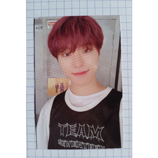 PHOTOCARD SEVENTEEN DINO