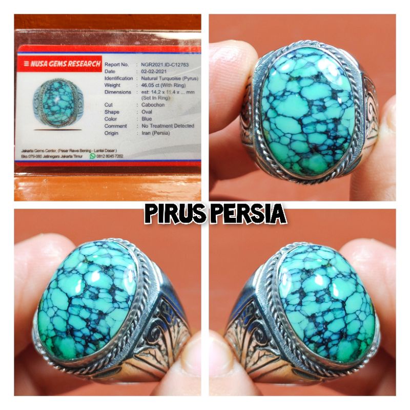 PIRUS HIJAU DAUN CEPLOK KURO