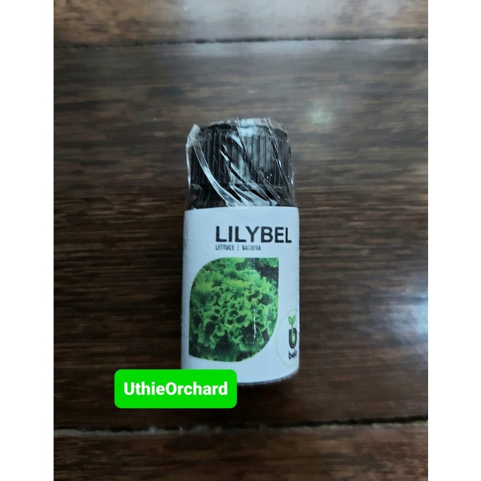 Benih Benih Bejo Seed - Selada Batavia Lilybel Kemasan Repack 100 Pills