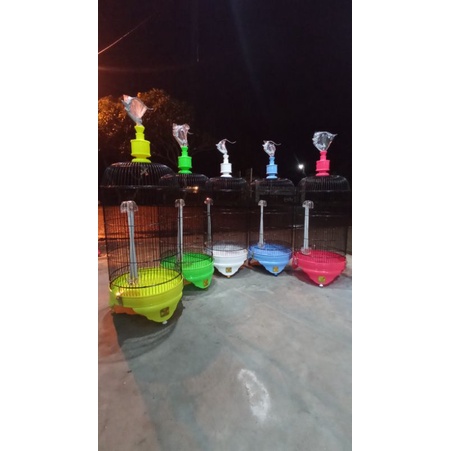 Sangkar lovebird gankster kandang lovebird konin