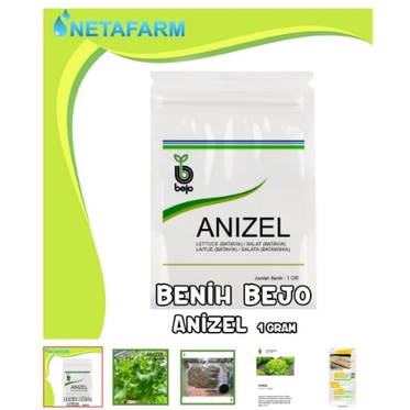 Bibit BEJO ANIZEL Selada Batavia/Benih / Biji / Bibit BEJO ANIZEL Selada Batavia - Kemasan 1 Gram